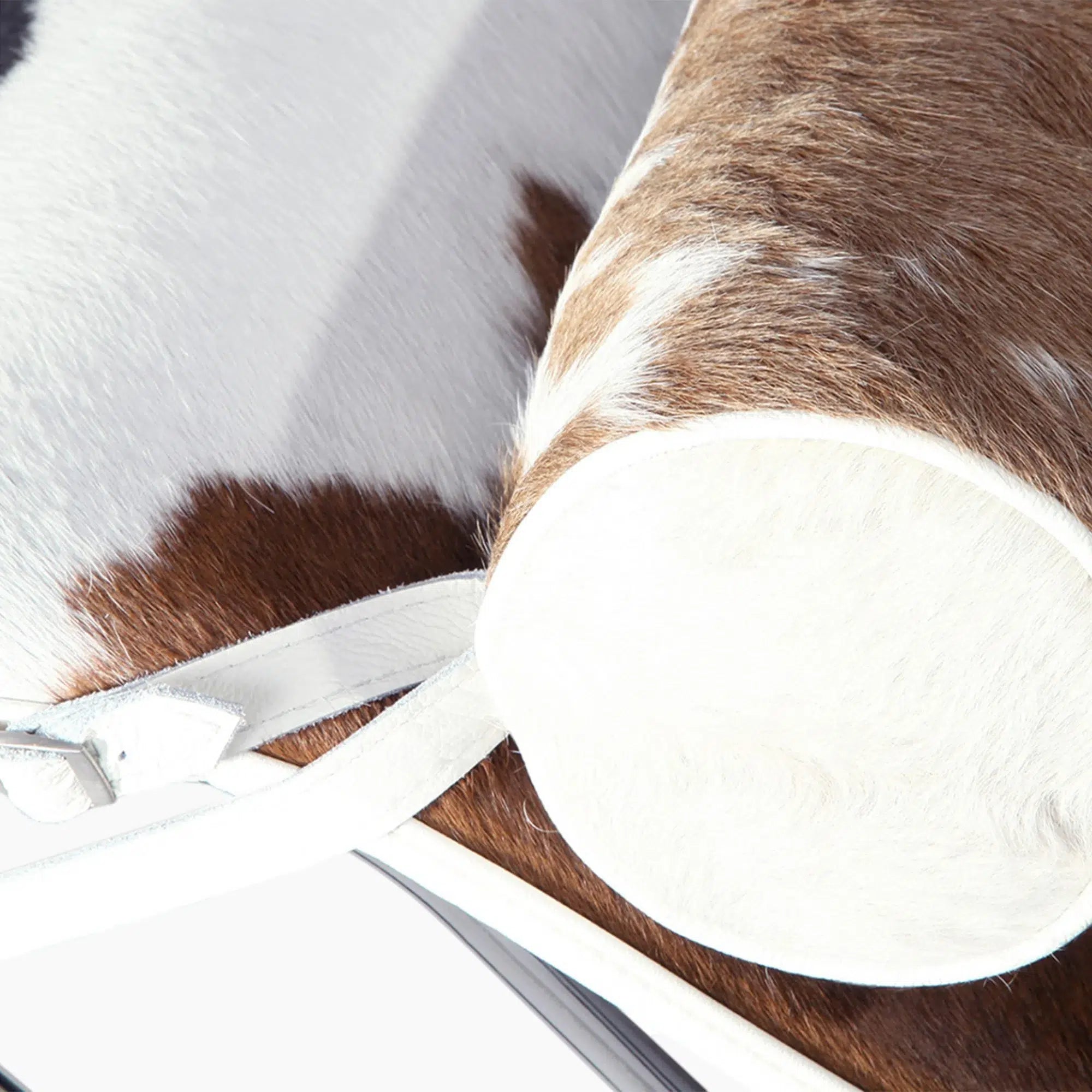 Corbusier LC4 Chaise Lounge – Iconic Modern Reclining Chair